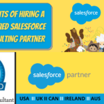 Salesforce Partner Benefits