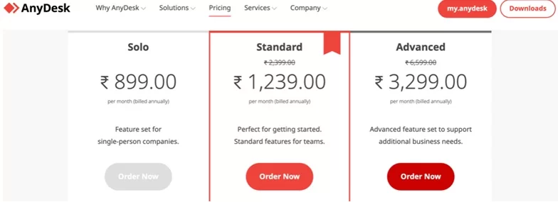 Anydesk Monthly Plan