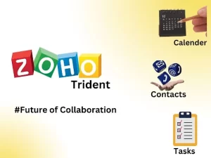 Zoho trident- Powerful Productivity Platform