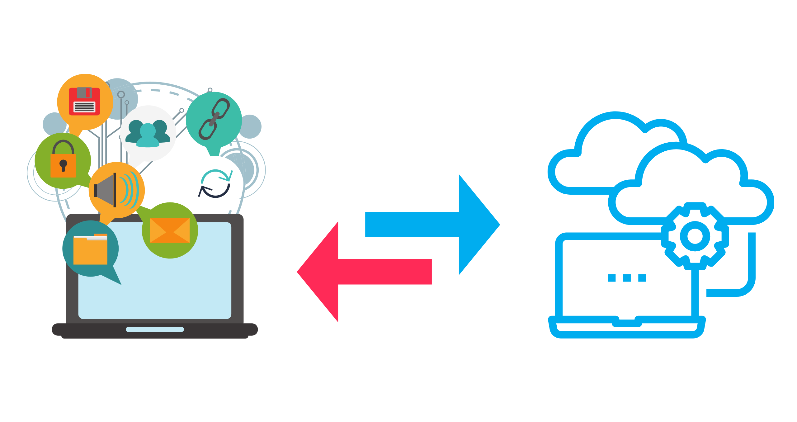 Migration.webp