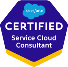 Service Cloud Consultatn