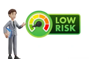 Low Risk with Zoho consultants 